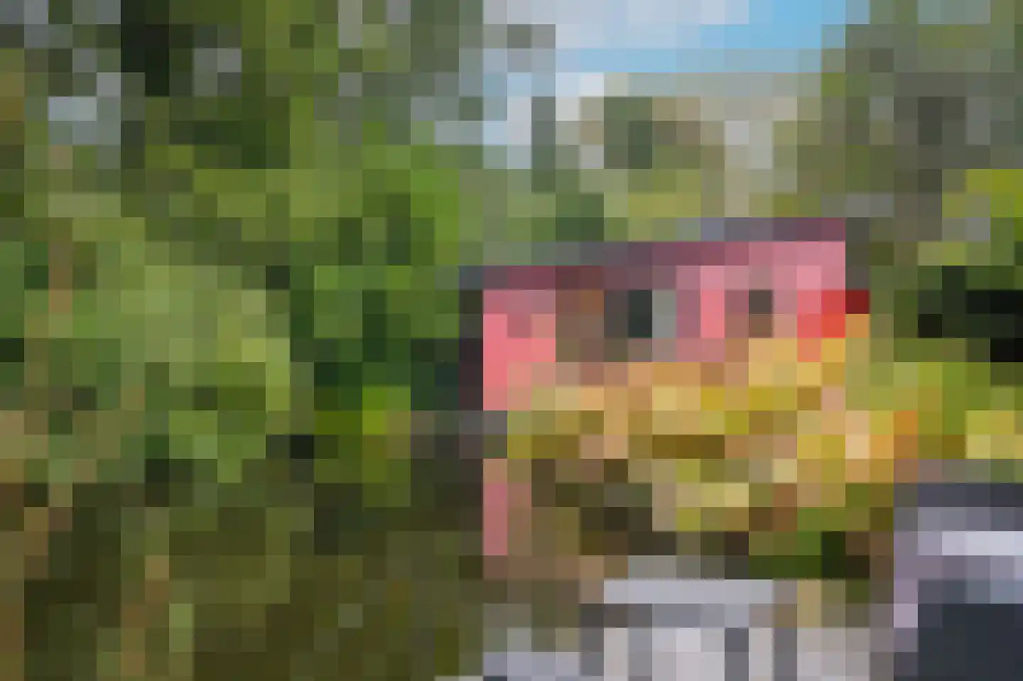 Griftdijk 17 Maarsbergen thumbnail 22