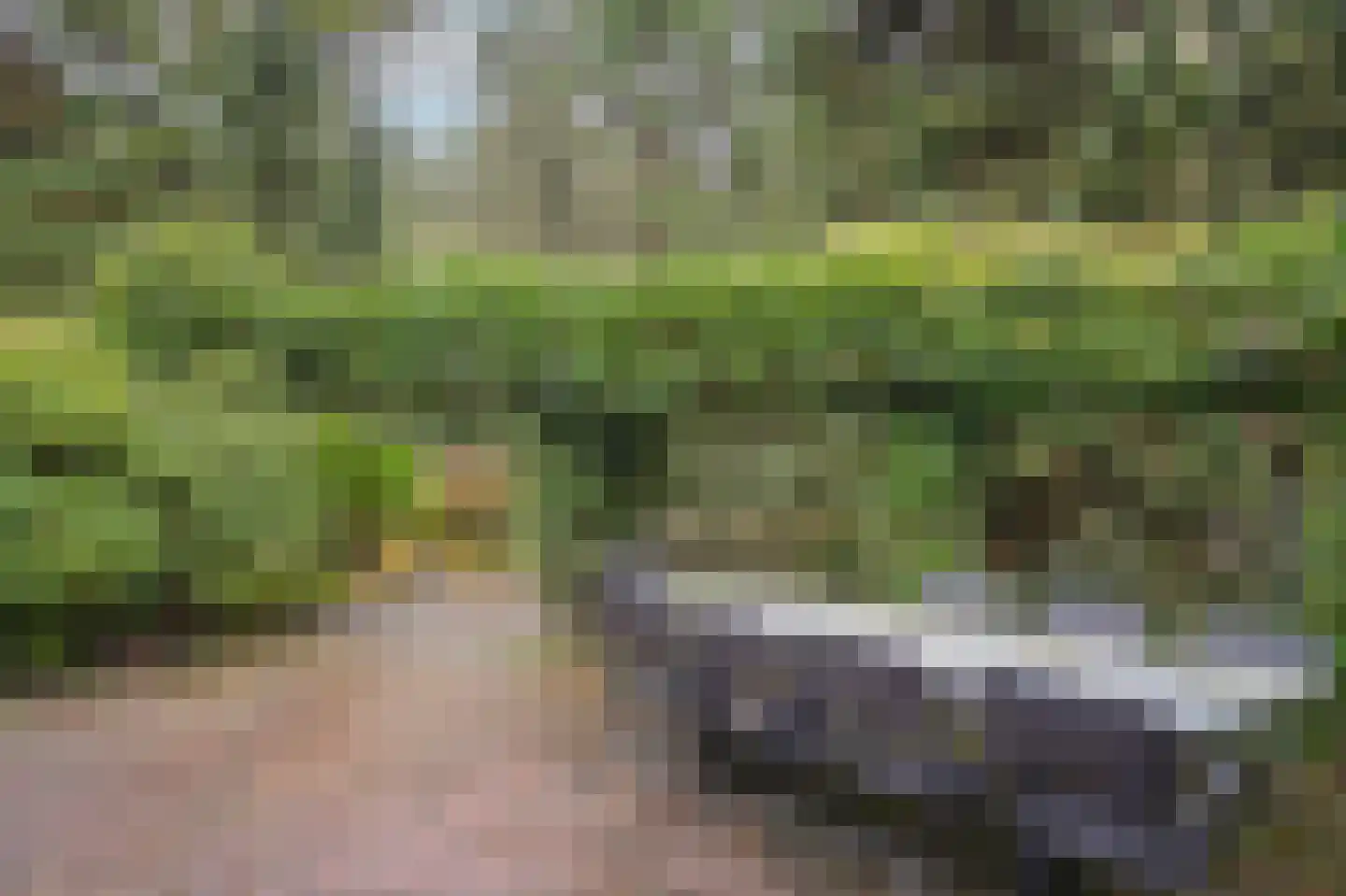 Griftdijk 17 Maarsbergen thumbnail 23