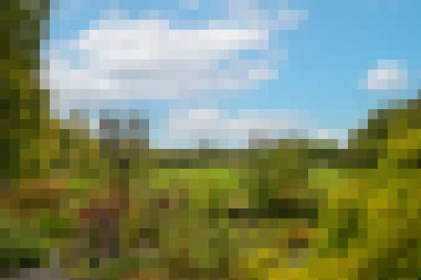 Griftdijk 17 Maarsbergen thumbnail 24