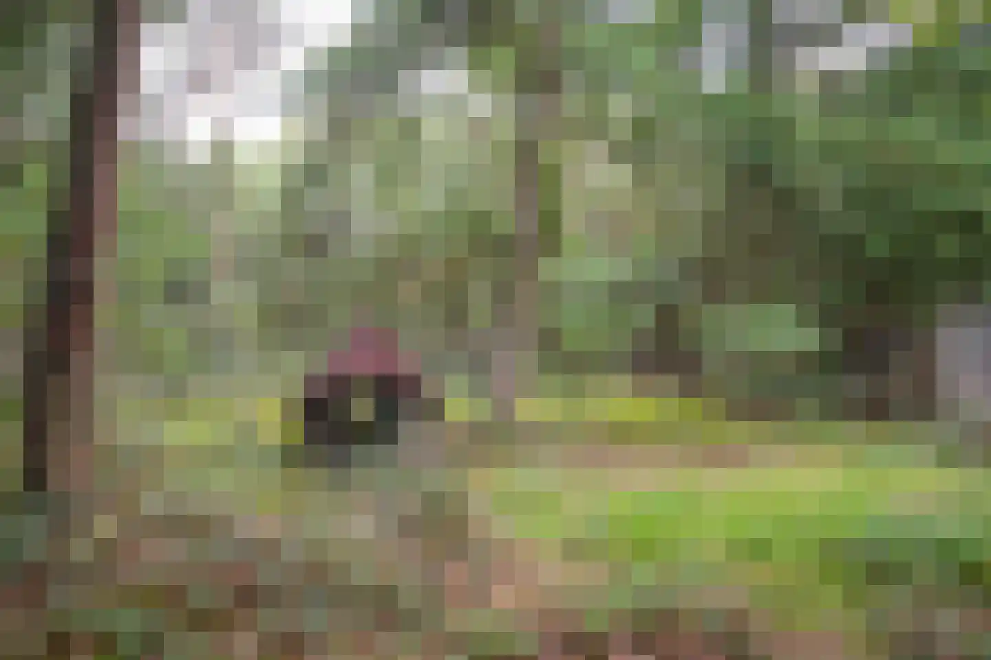 Griftdijk 17 Maarsbergen thumbnail 25