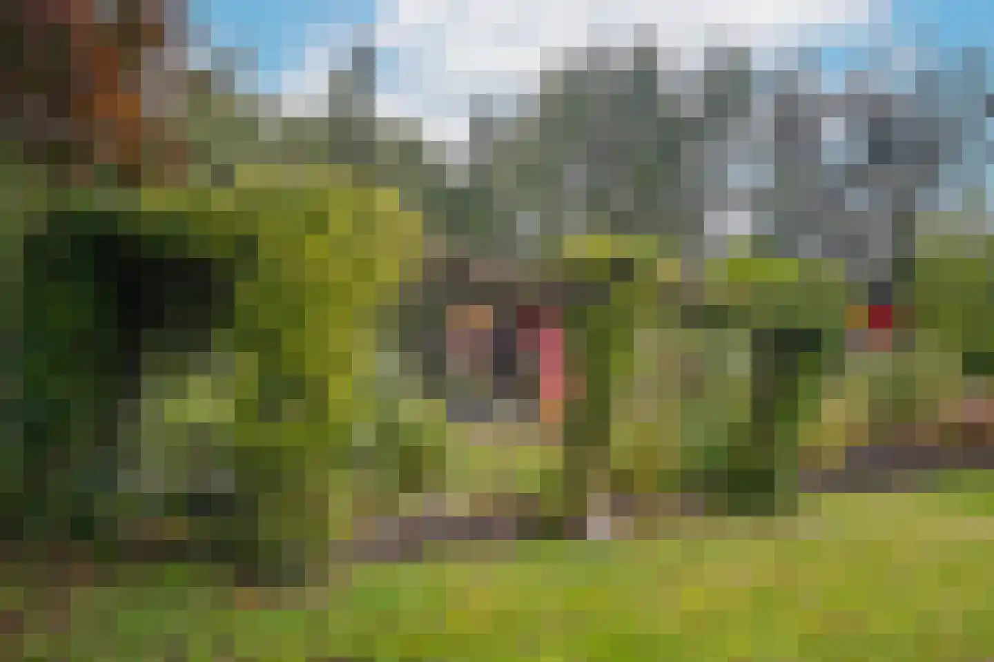 Griftdijk 17 Maarsbergen thumbnail 27