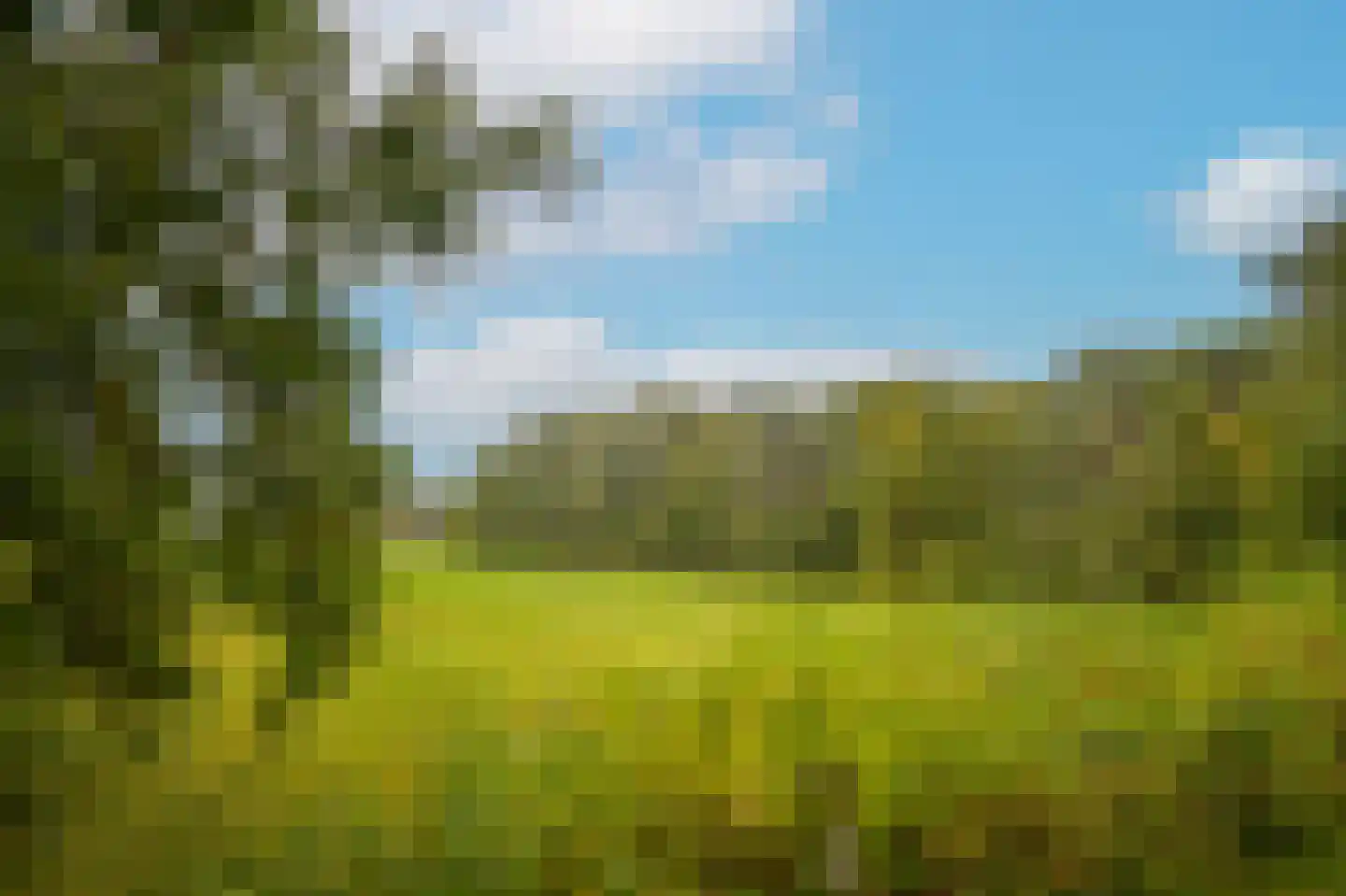 Griftdijk 17 Maarsbergen thumbnail 29