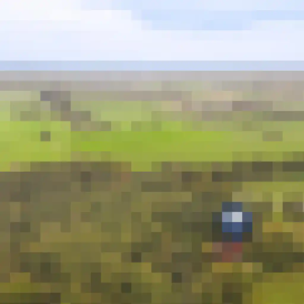 Griftdijk 17 Maarsbergen thumbnail 32