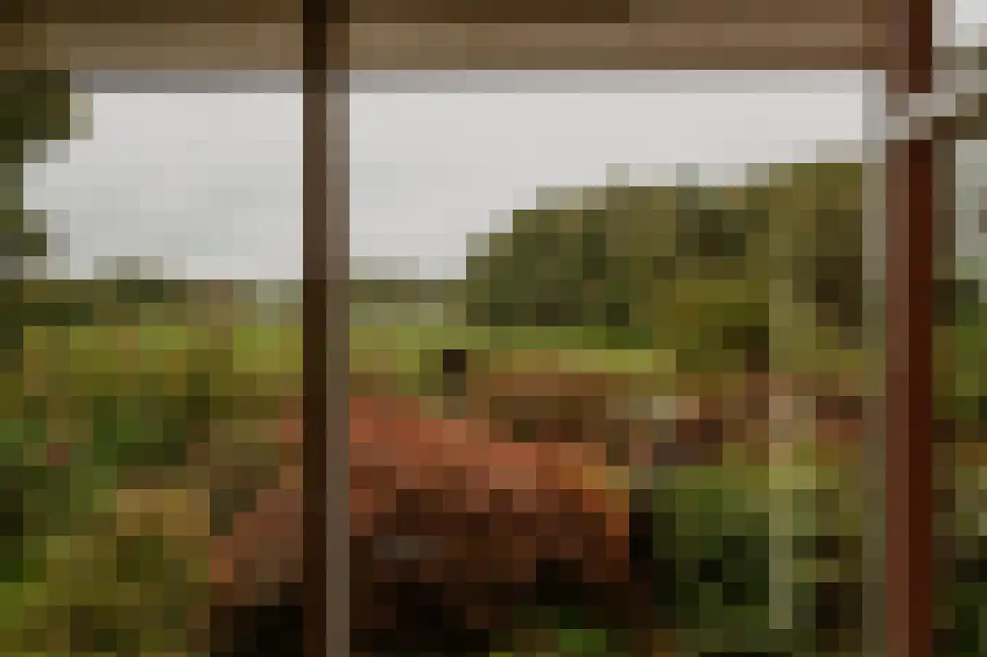 Griftdijk 17 Maarsbergen thumbnail 5
