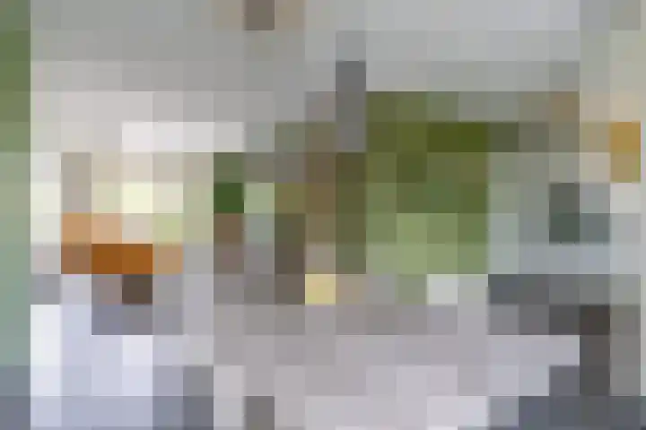 Griftdijk 42 Nijmegen thumbnail 10