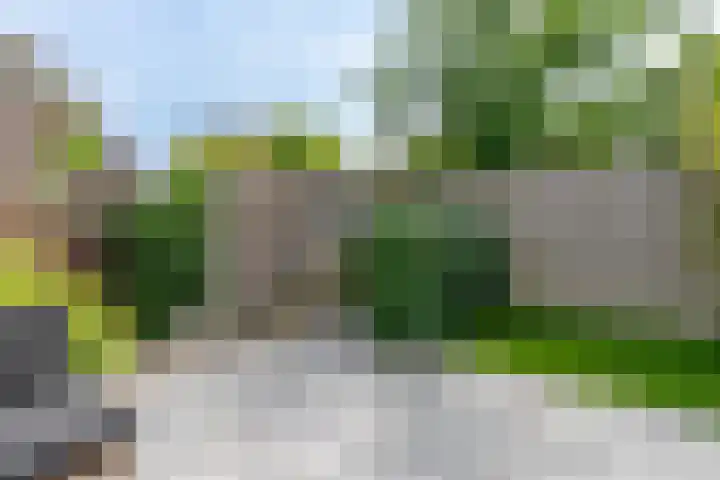 Griftdijk 42 Nijmegen thumbnail 30