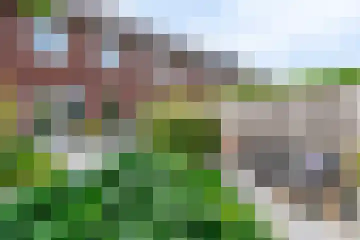Griftdijk 42 Nijmegen thumbnail 32