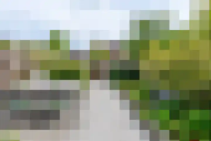 Griftdijk 42 Nijmegen thumbnail 34