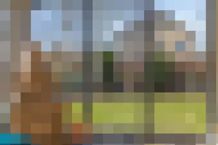 Griftdijk 62 B Nijmegen thumbnail 33