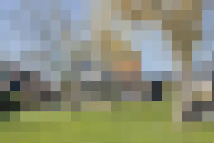 Griftdijk 62 B Nijmegen thumbnail 6