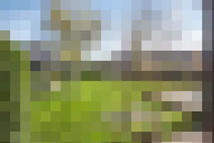 Griftdijk 62 B Nijmegen thumbnail 70