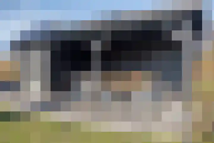 Griftdijk 62 B Nijmegen thumbnail 80