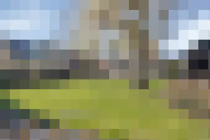 Griftdijk 62 B Nijmegen thumbnail 82