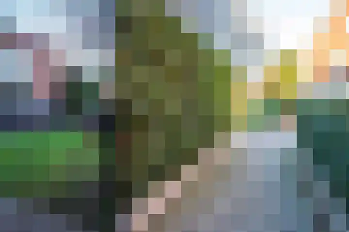 Griftdijk 96 A Nijmegen thumbnail 53