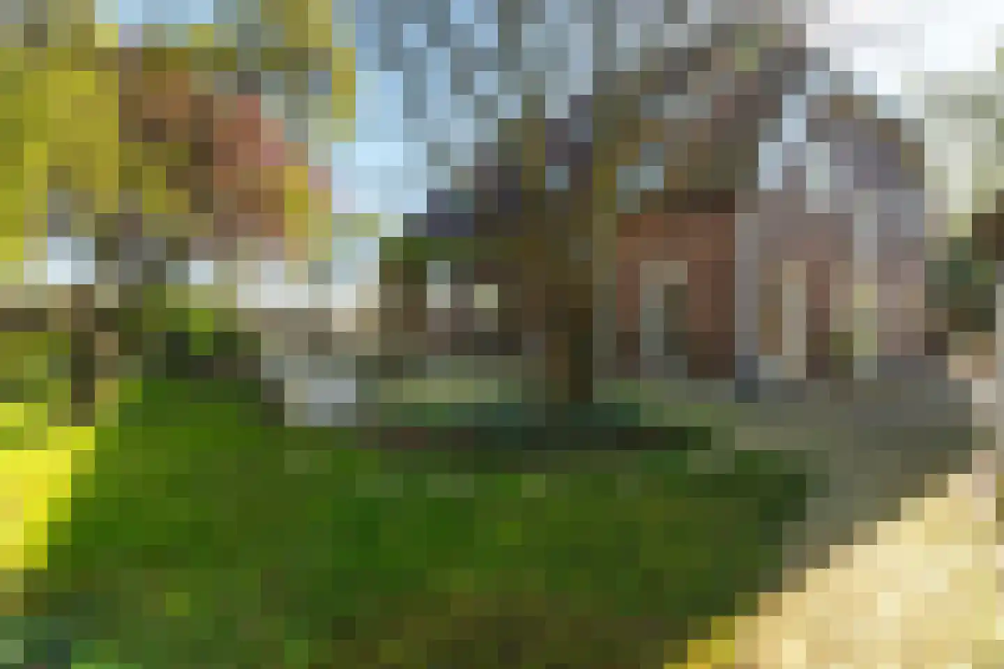 Griftdijk Noord 25 A in Lent