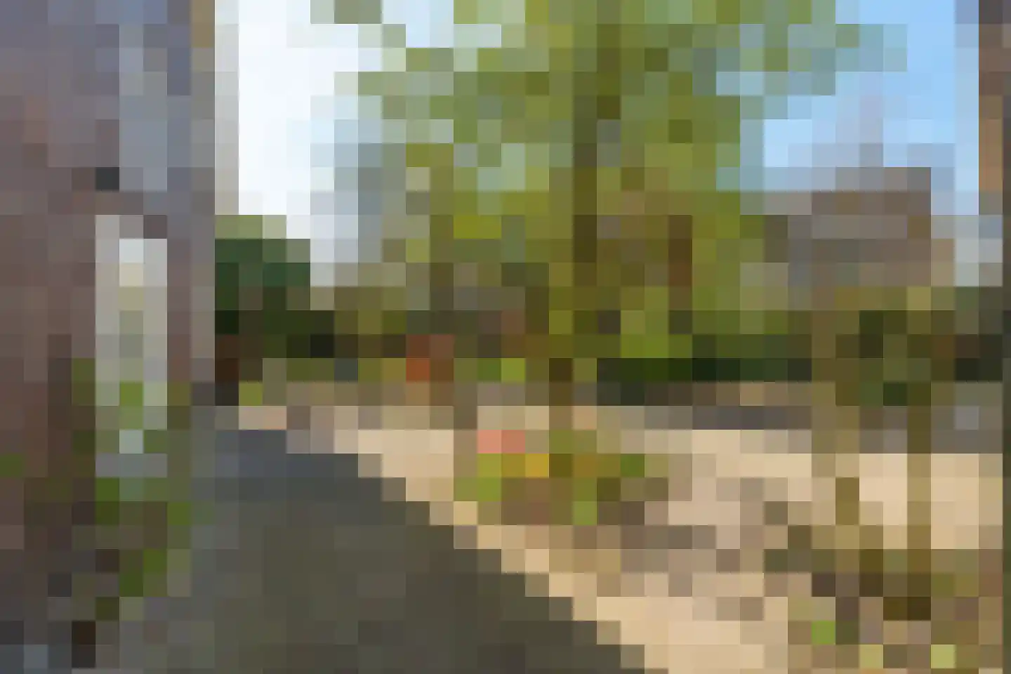 Griftdijk Noord 25 A Lent thumbnail 16