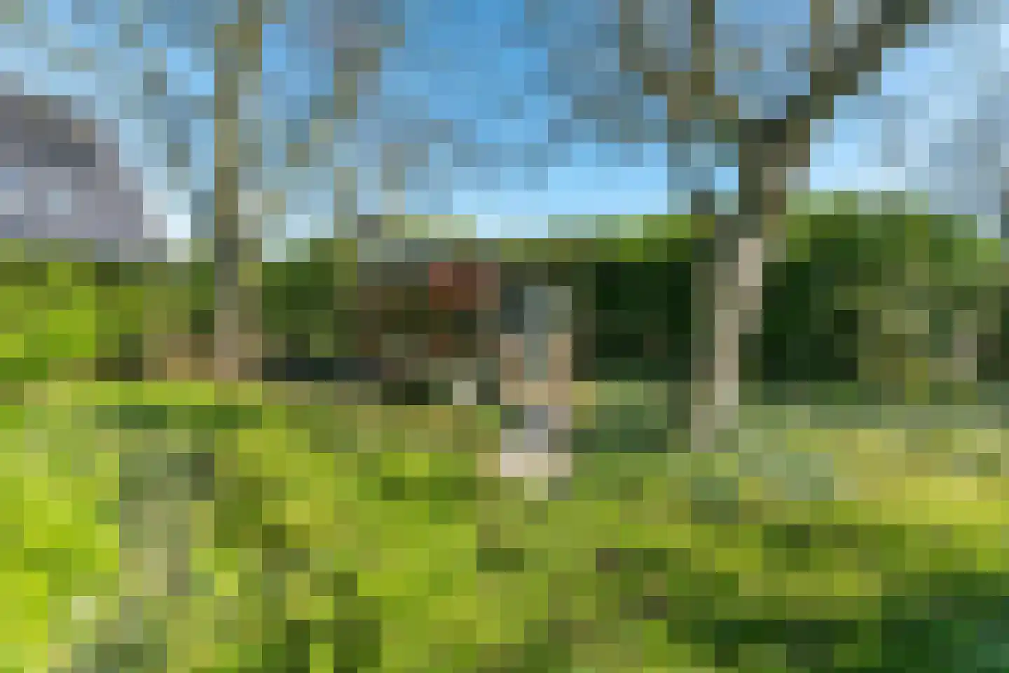 Griftdijk Noord 25 A Lent thumbnail 62