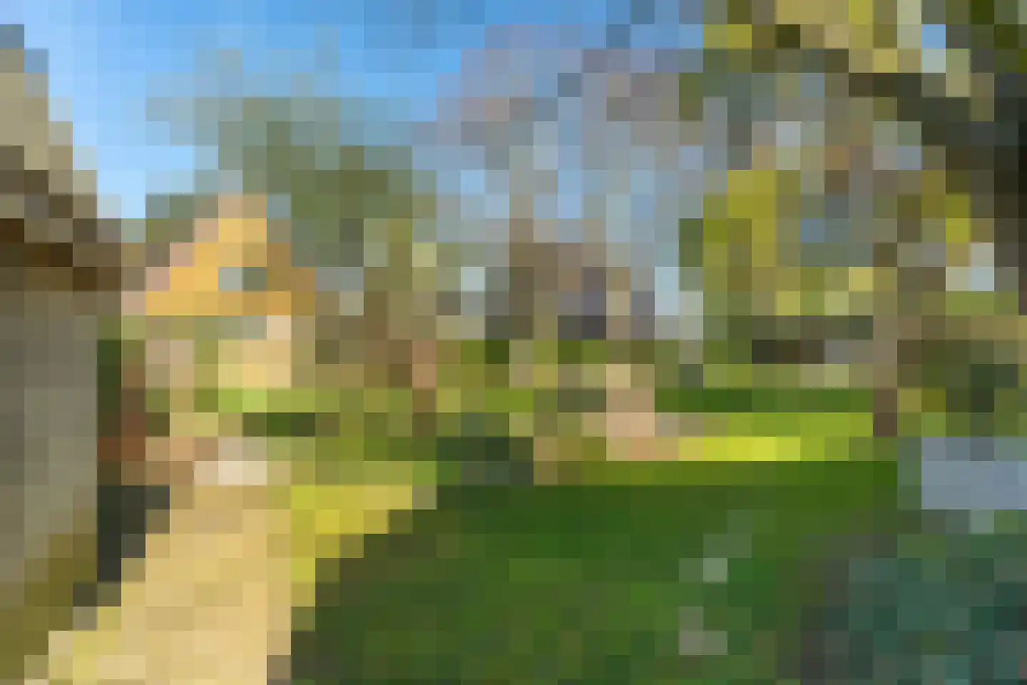 Griftdijk Noord 25 A Lent thumbnail 64