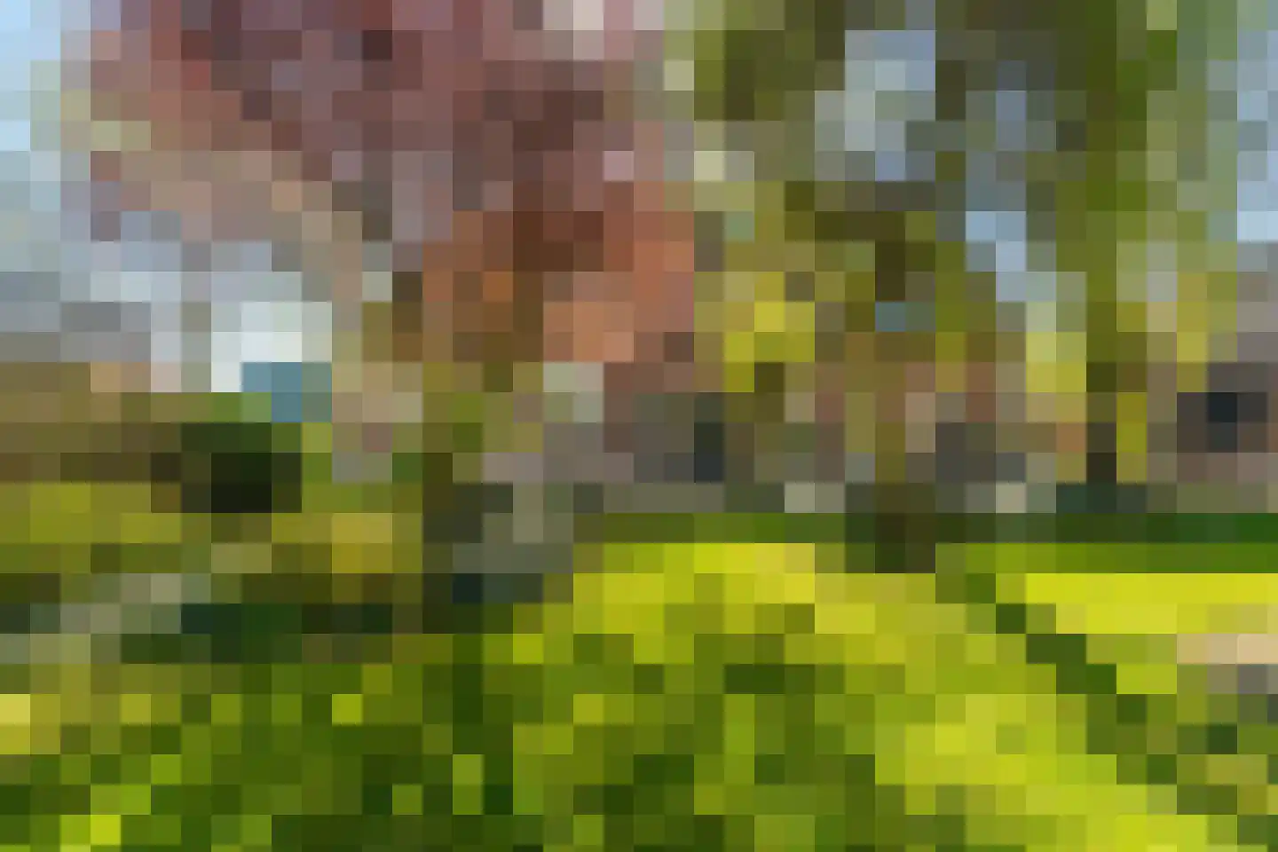 Griftdijk Noord 25 A Lent thumbnail 66