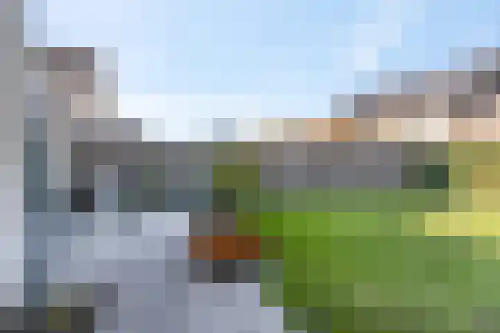 Griftdijk Noord 8 Lent thumbnail 49