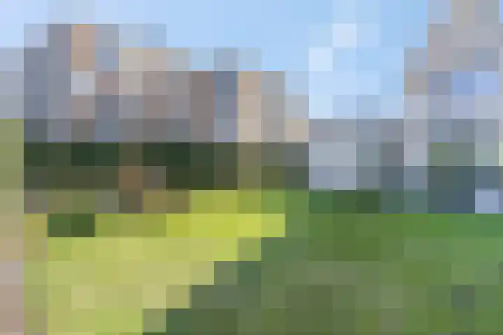Griftdijk Noord 8 Lent thumbnail 54