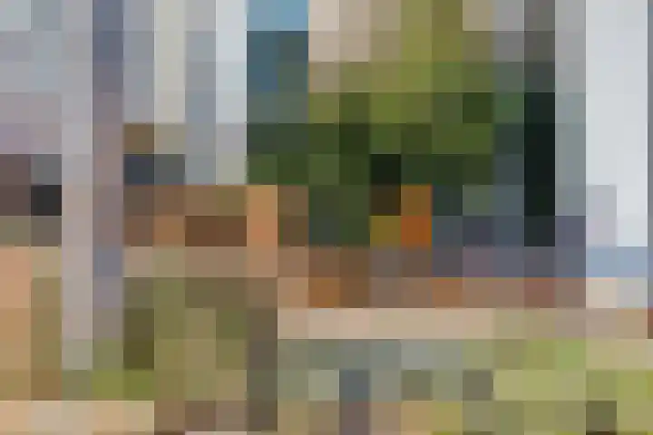 Griftdijk Noord 8 Lent thumbnail 61
