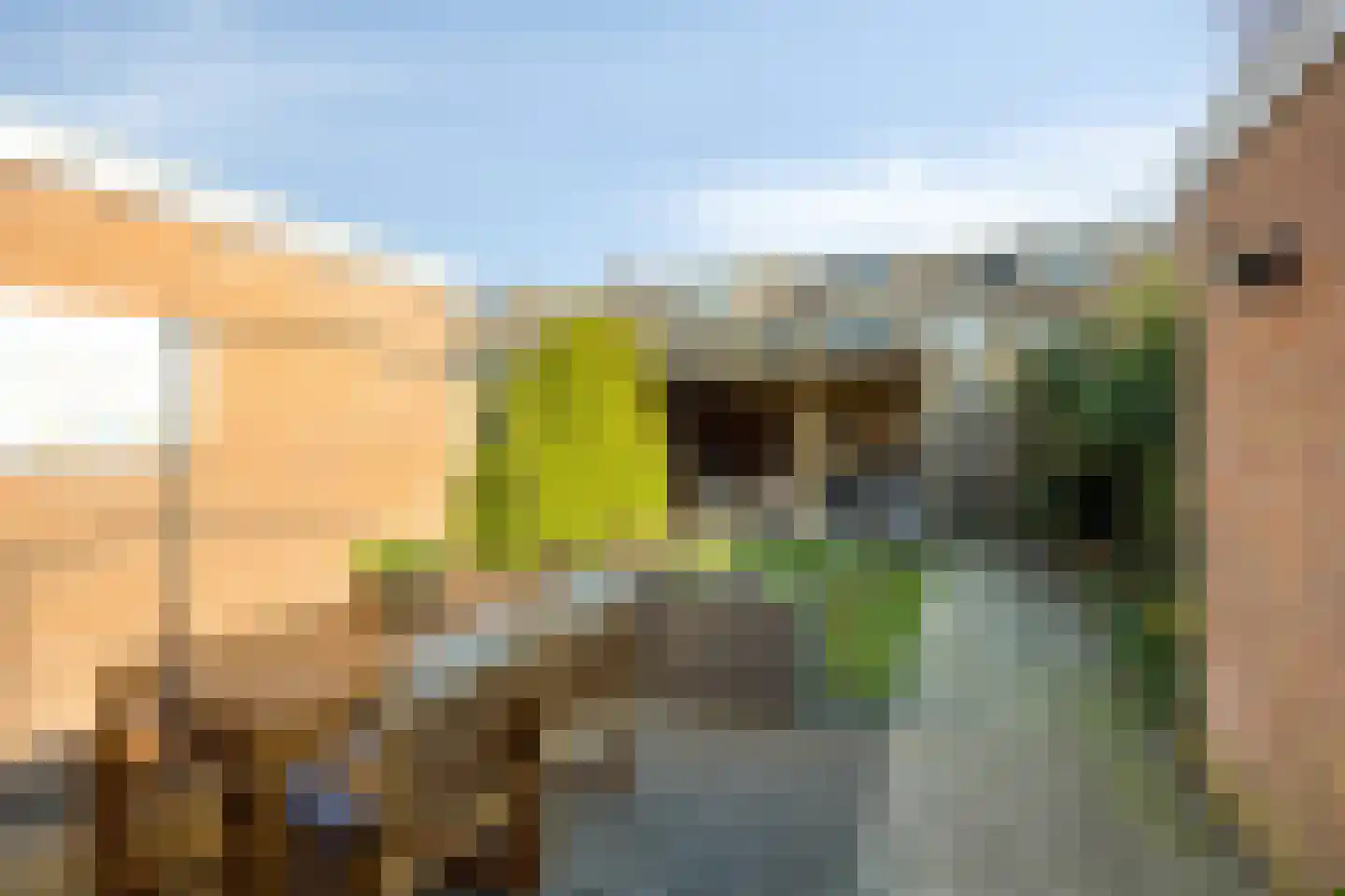 Griftenstein 17 Breukelen thumbnail 20