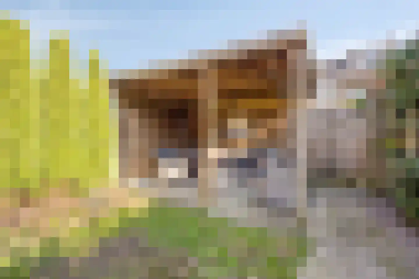 Griftenstein 17 Breukelen thumbnail 23