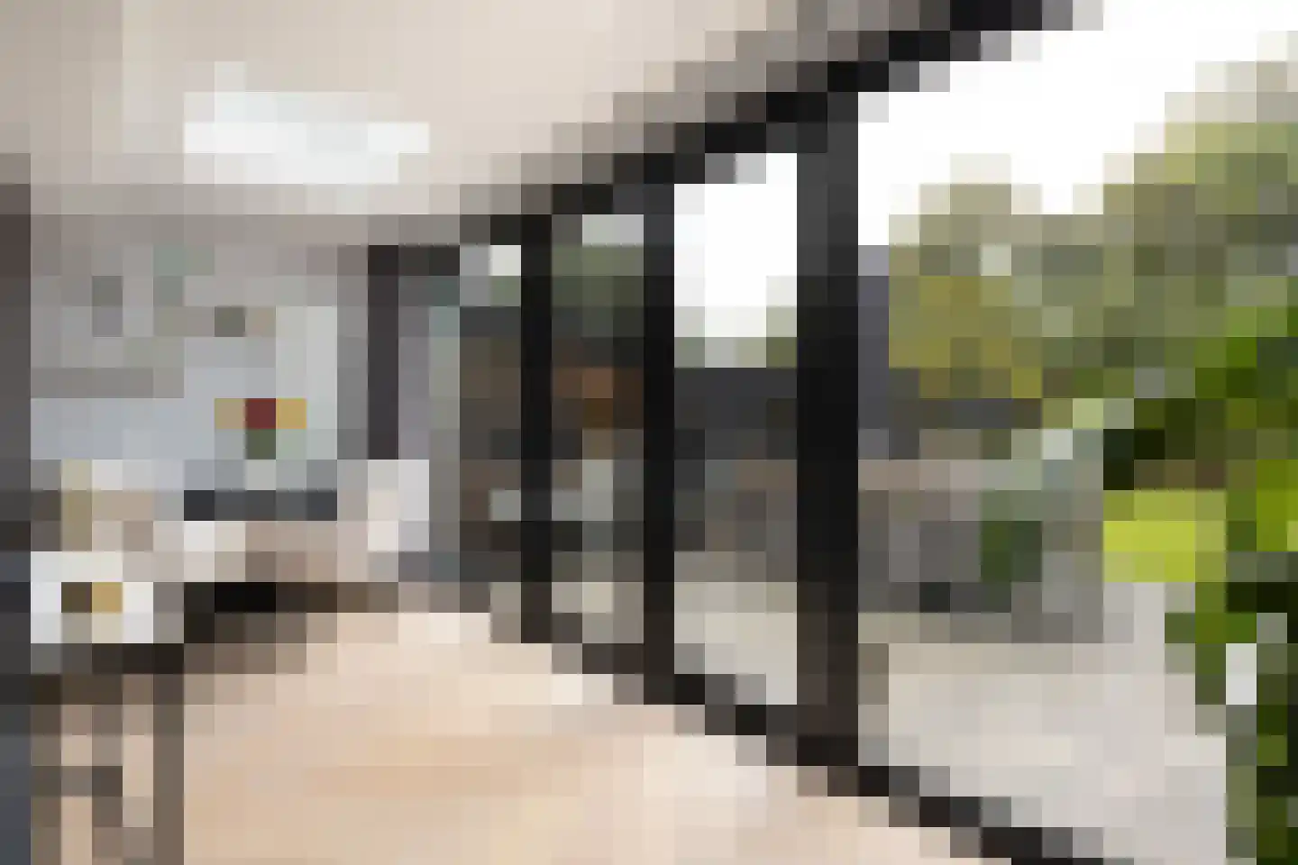 Griftenstein 46 Breukelen thumbnail 8