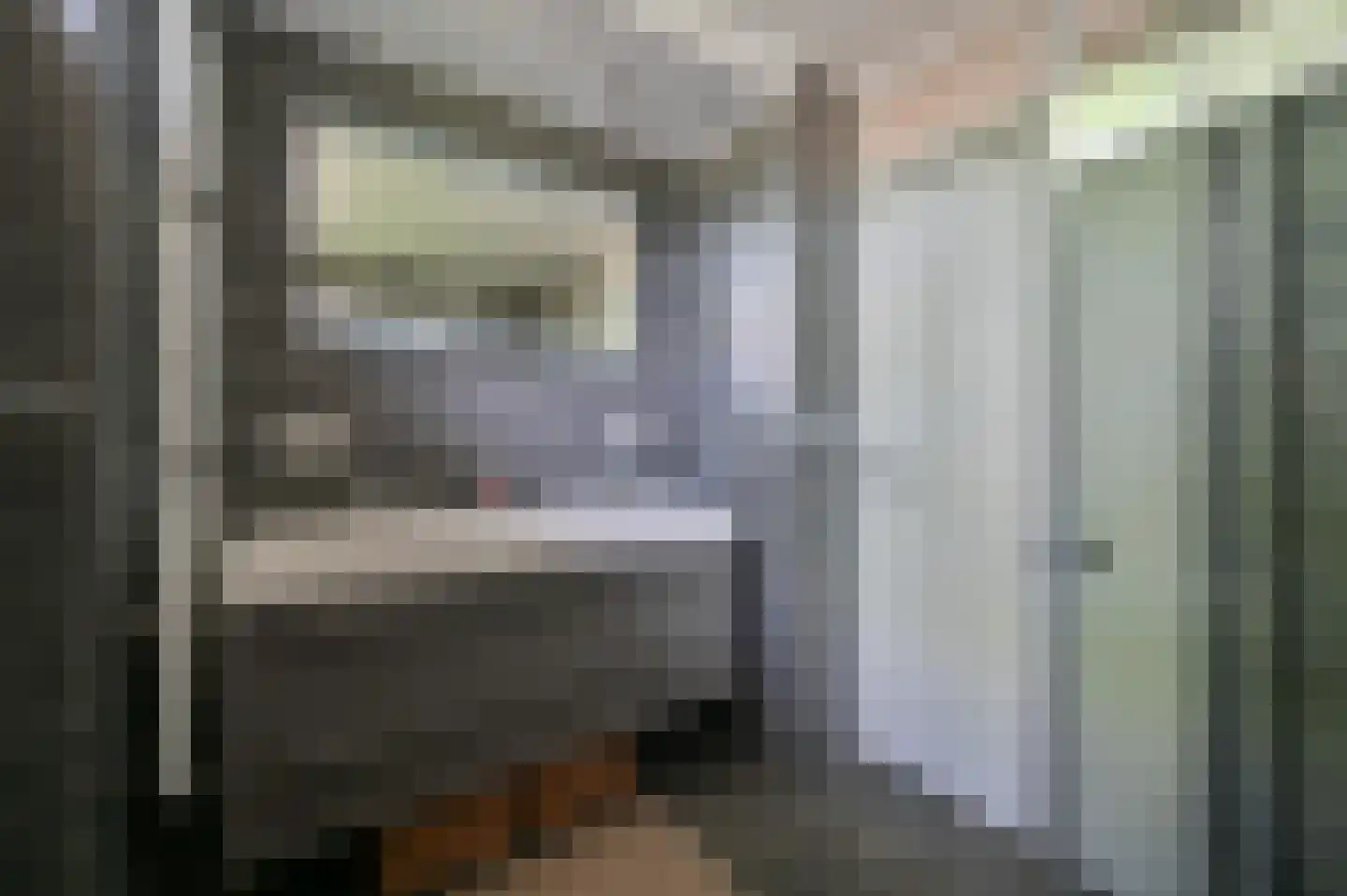 Griftenstein 9 Breukelen thumbnail 19
