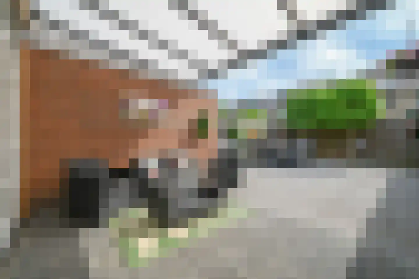 Griftenstein 9 Breukelen thumbnail 24
