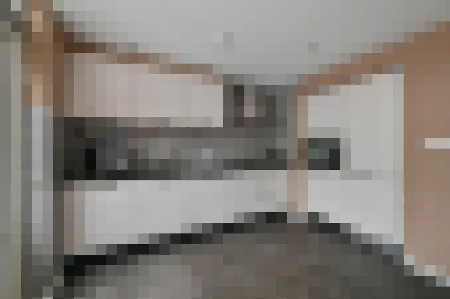 Griftenstein 9 Breukelen thumbnail 9