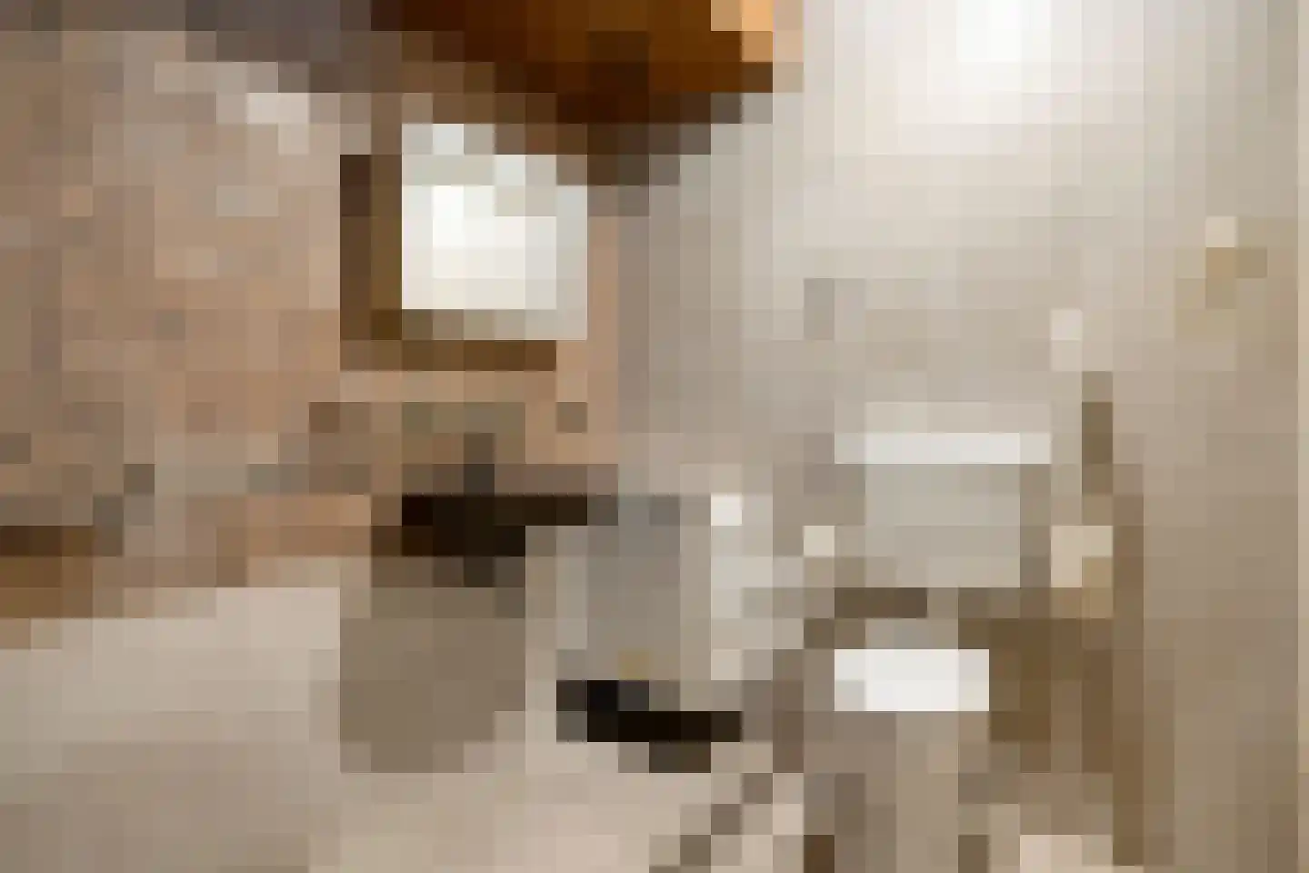 Griftestuk 22 Nijeveen thumbnail 20