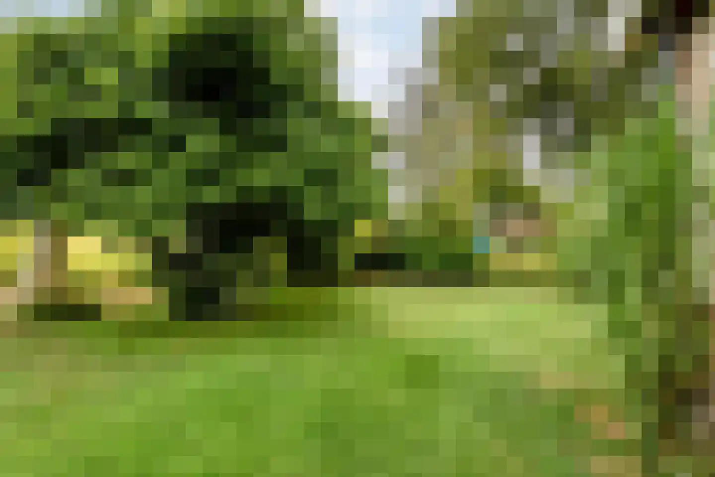 Griftestuk 22 Nijeveen thumbnail 37