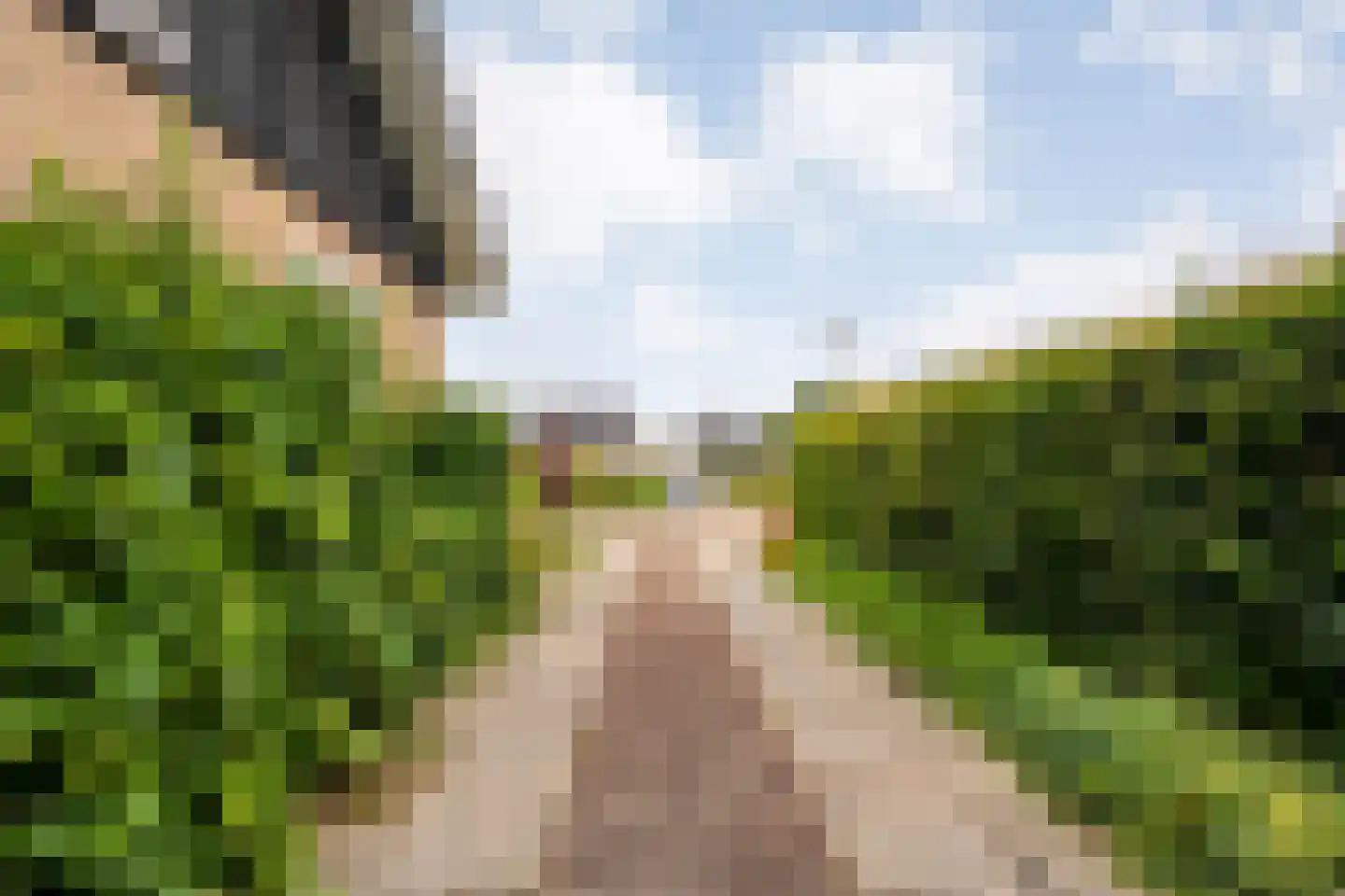 Griftestuk 22 Nijeveen thumbnail 40