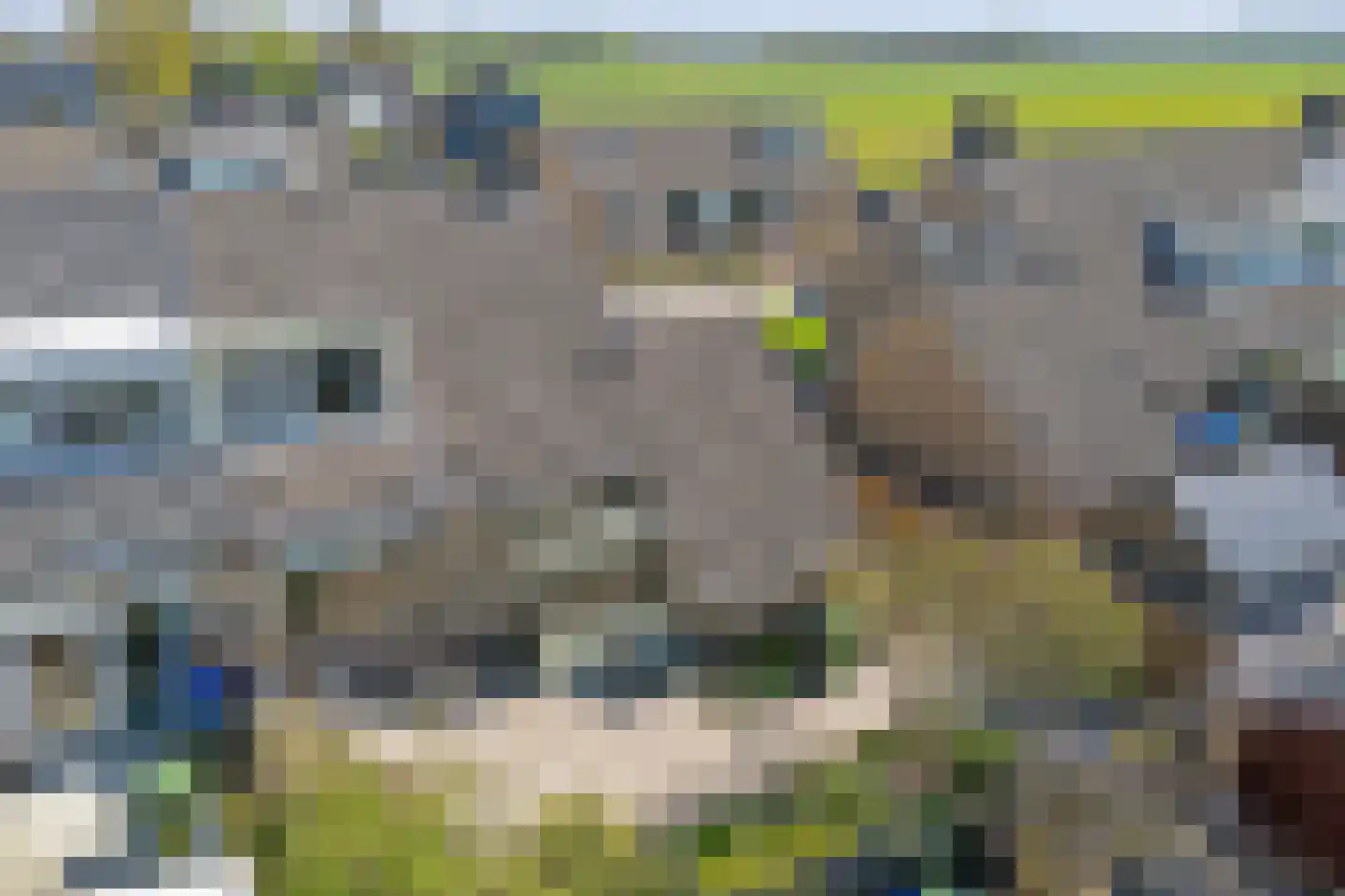 Griftestuk 30 Nijeveen thumbnail 41