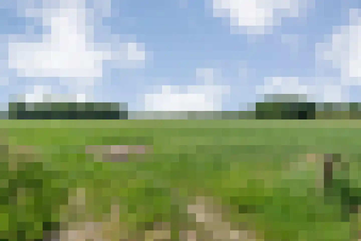 Griftestuk 30 Nijeveen thumbnail 46