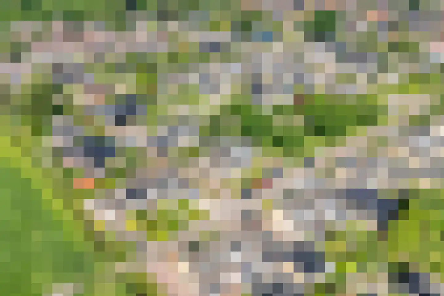 Griftestuk 30 Nijeveen thumbnail 6