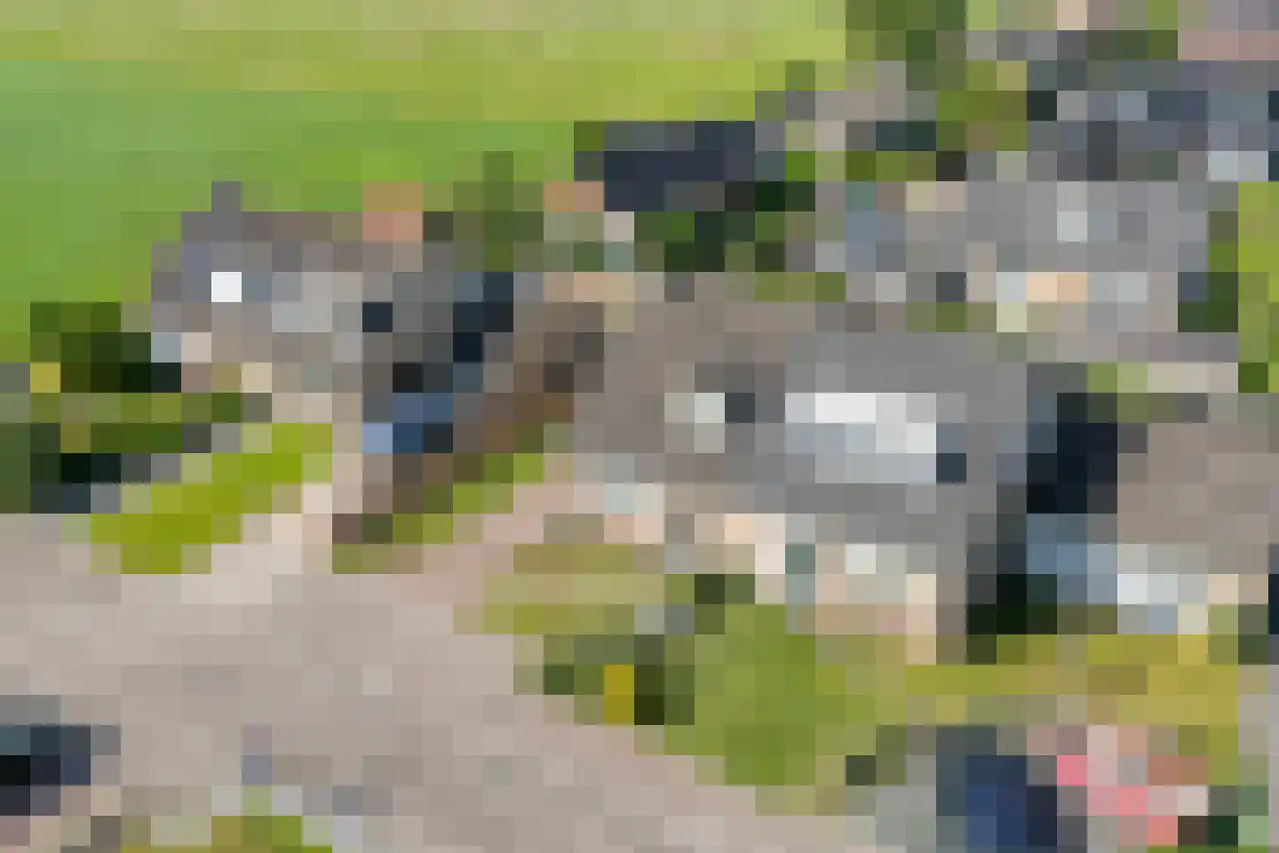 Griftestuk 30 Nijeveen thumbnail 7