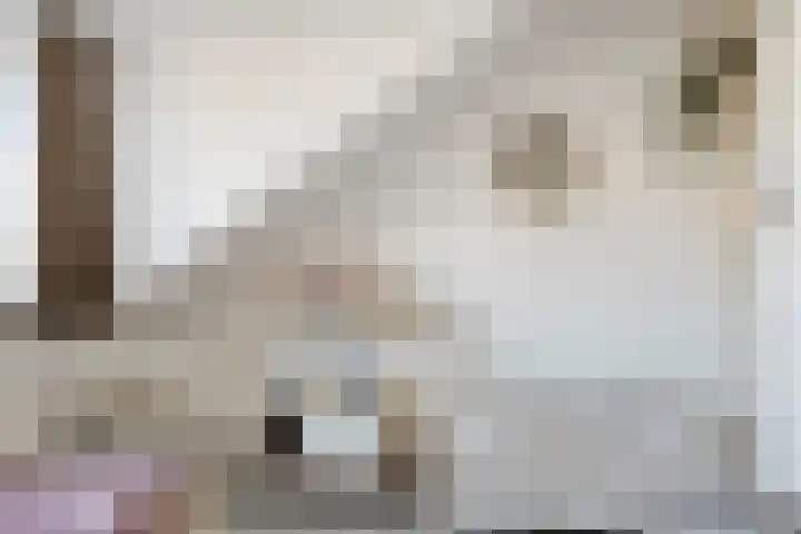 Griftestuk 40 Nijeveen thumbnail 25