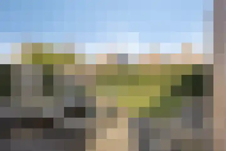 Griftestuk 40 Nijeveen thumbnail 31