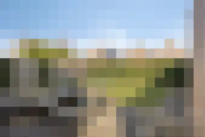 Griftestuk 40 Nijeveen thumbnail 4