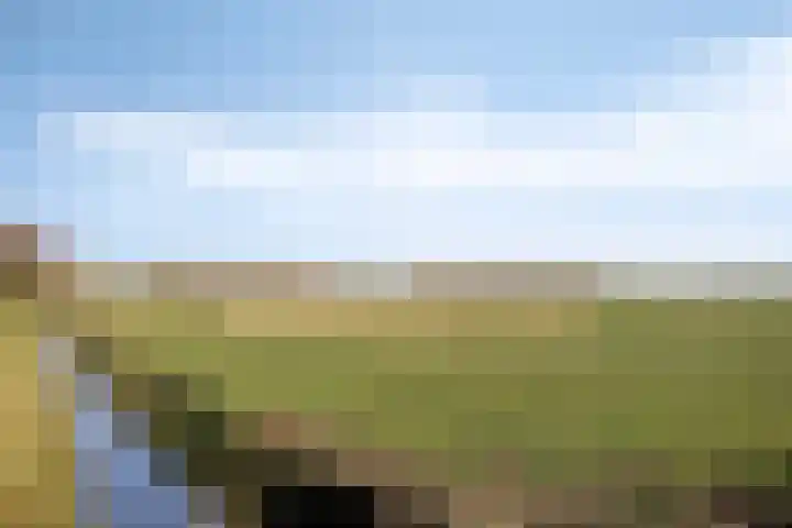 Griftestuk 40 Nijeveen thumbnail 41