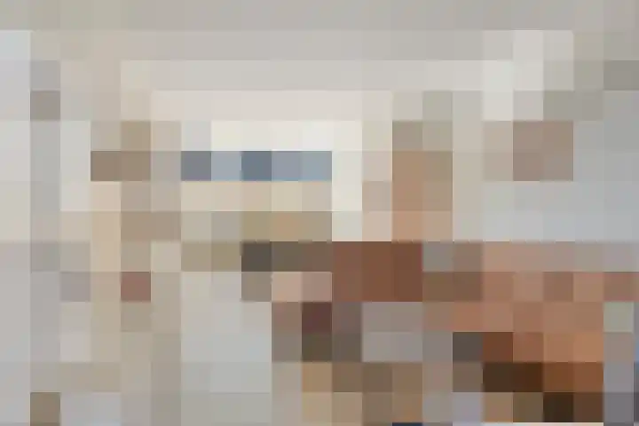 Griftestuk 40 Nijeveen thumbnail 6