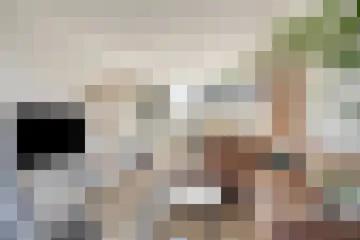 Griftestuk 40 Nijeveen thumbnail 7