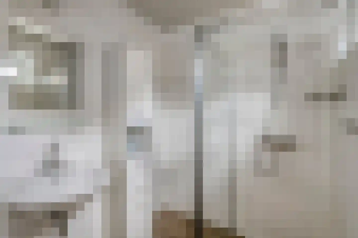 Griftestuk 52 Nijeveen thumbnail 17