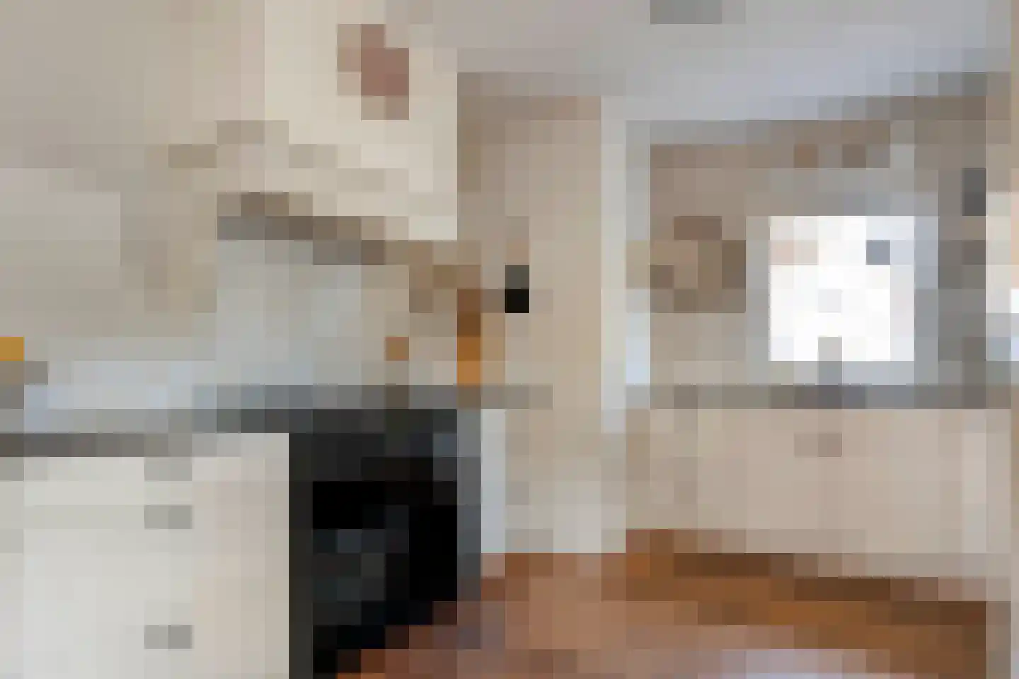 Griftestuk 54 Nijeveen thumbnail 11