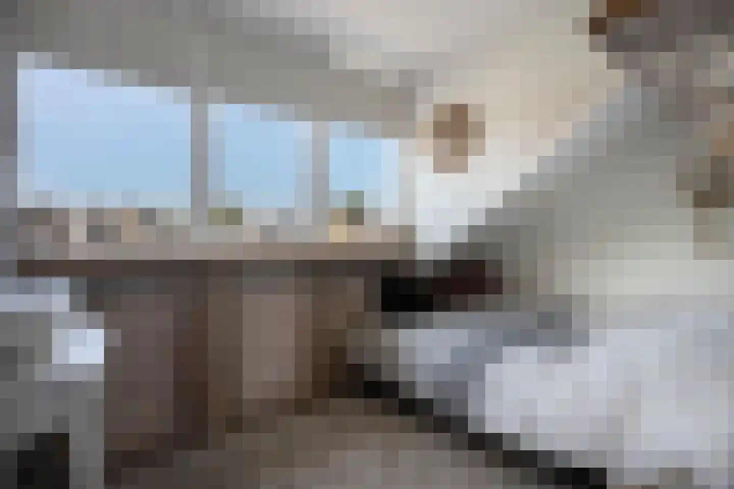 Griftestuk 54 Nijeveen thumbnail 36