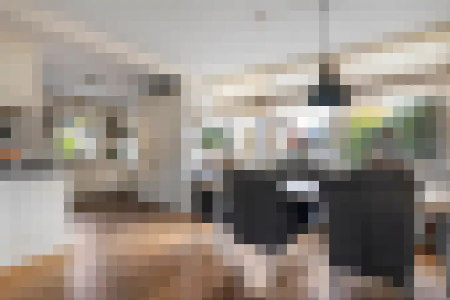 Griftestuk 54 Nijeveen thumbnail 4