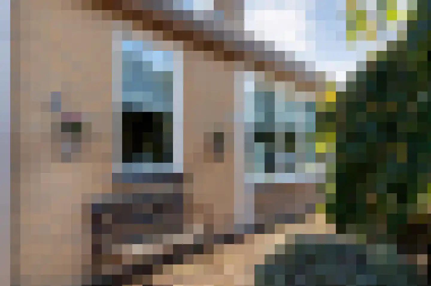 Griftestuk 54 Nijeveen thumbnail 50